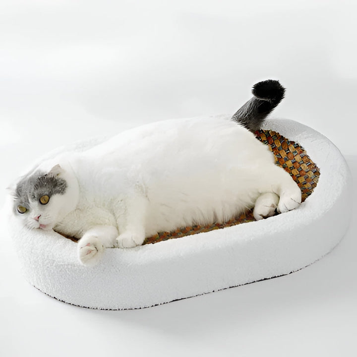 Modern design cat scratch lounge bed. Essential pet furniture offering feline comfort, play, & furniture protection.