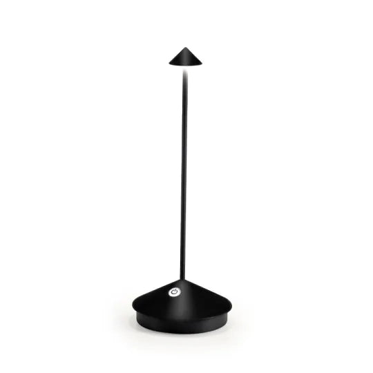 Modern LED rechargeable lamp, portable for indoor & outdoor accent lighting.