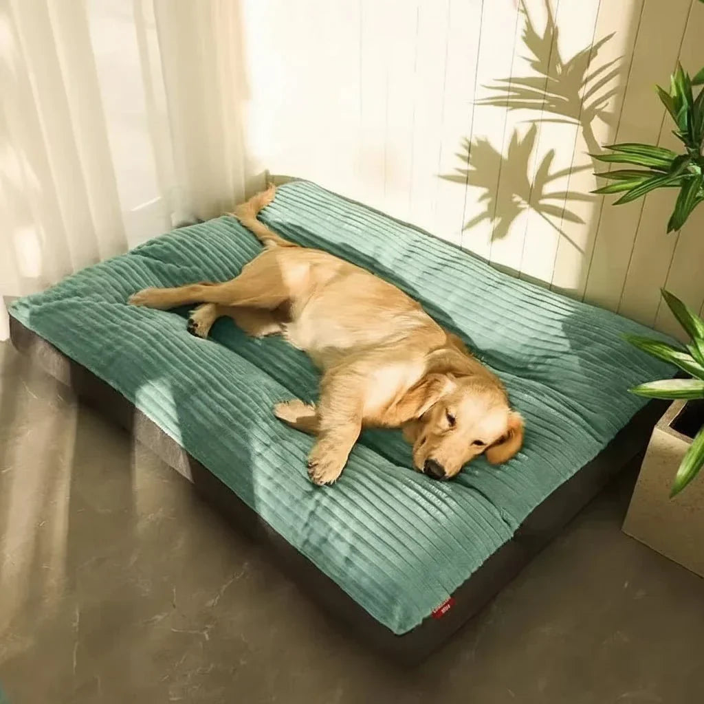 Orthopedic dog bed for joint pain relief, supporting deep sleep & ultimate pet comfort. Ideal for aging dogs.