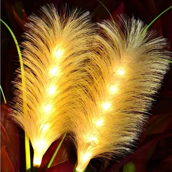 Modern reed-style solar lights charging in daylight, ready to illuminate garden paths at night.