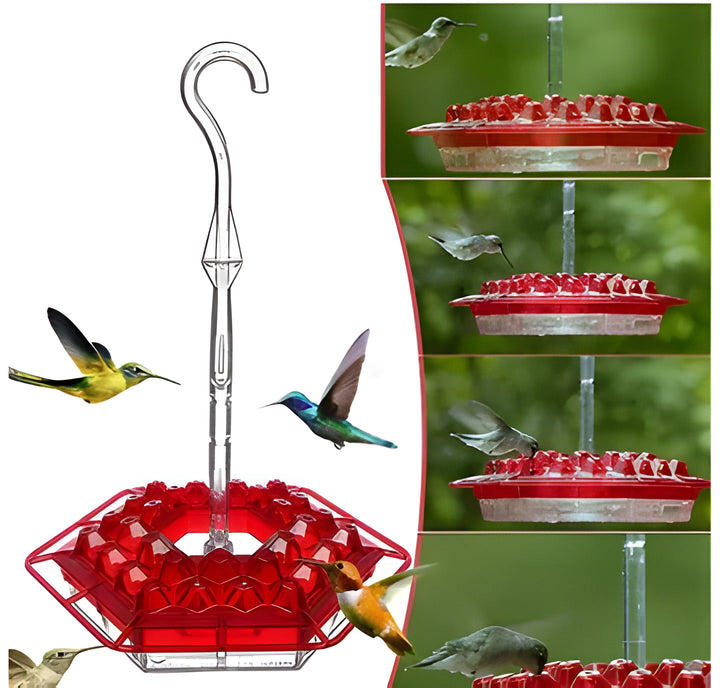 Close-up of a vibrant outdoor hummingbird feeder with ant moat, attracting hummingbirds to your garden.