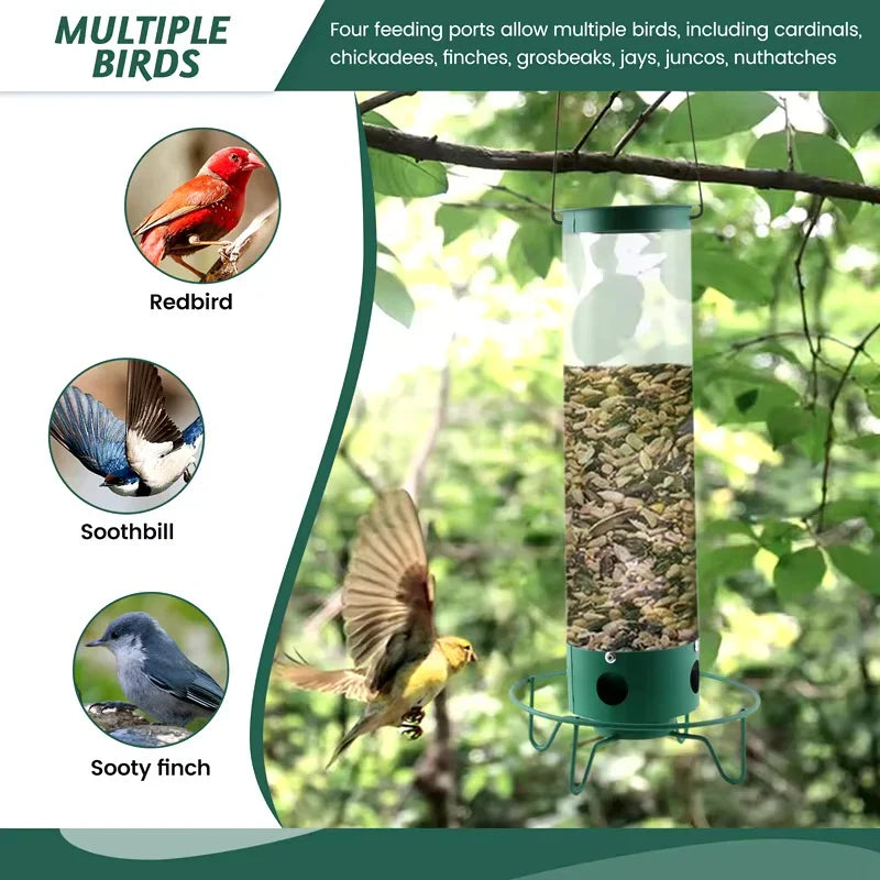 Hanging squirrel-proof bird feeder for your garden. Attracts wild birds, keeps squirrels out. Great outdoor decor.