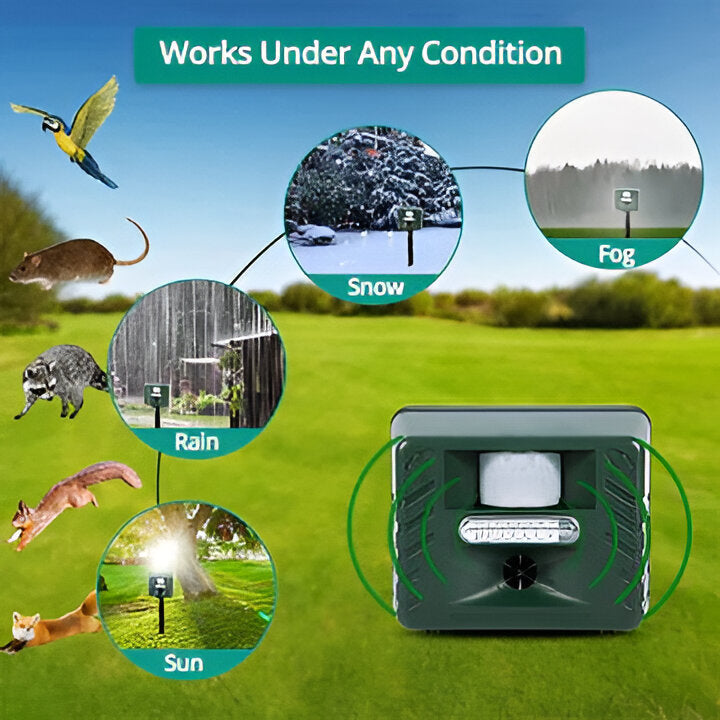 Motion activated ultrasonic woodpecker repeller. Effective outdoor garden protector & humane wildlife deterrent.