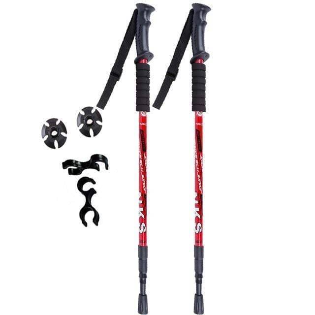 Two anti-shock walking poles, unisex, standing upright on a forest trail, ready for an adventure.