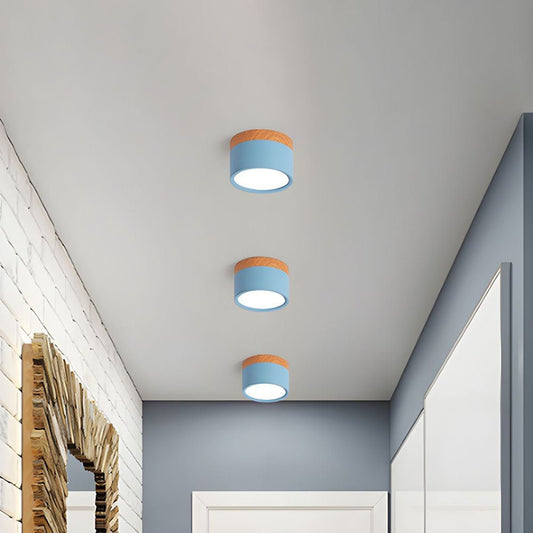 "Plafoniera cilindrica LED moderna per interni, struttura in alluminio, finitura elegante, luce uniforme, disponibile in vari