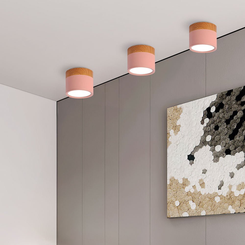 "Plafoniera cilindrica LED moderna per interni, struttura in alluminio, finitura elegante, luce uniforme, disponibile in vari