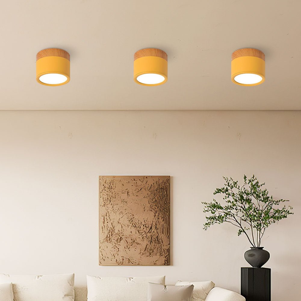 "Plafoniera cilindrica LED moderna per interni, struttura in alluminio, finitura elegante, luce uniforme, disponibile in vari