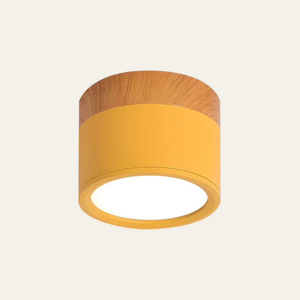 "Plafoniera cilindrica LED moderna per interni, struttura in alluminio, finitura elegante, luce uniforme, disponibile in vari