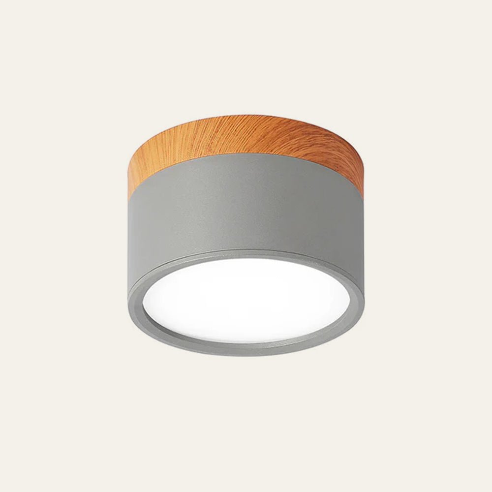 "Plafoniera cilindrica LED moderna per interni, struttura in alluminio, finitura elegante, luce uniforme, disponibile in vari