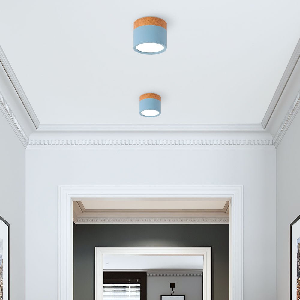 "Plafoniera cilindrica LED moderna per interni, struttura in alluminio, finitura elegante, luce uniforme, disponibile in vari