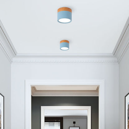 "Plafoniera cilindrica LED moderna per interni, struttura in alluminio, finitura elegante, luce uniforme, disponibile in vari