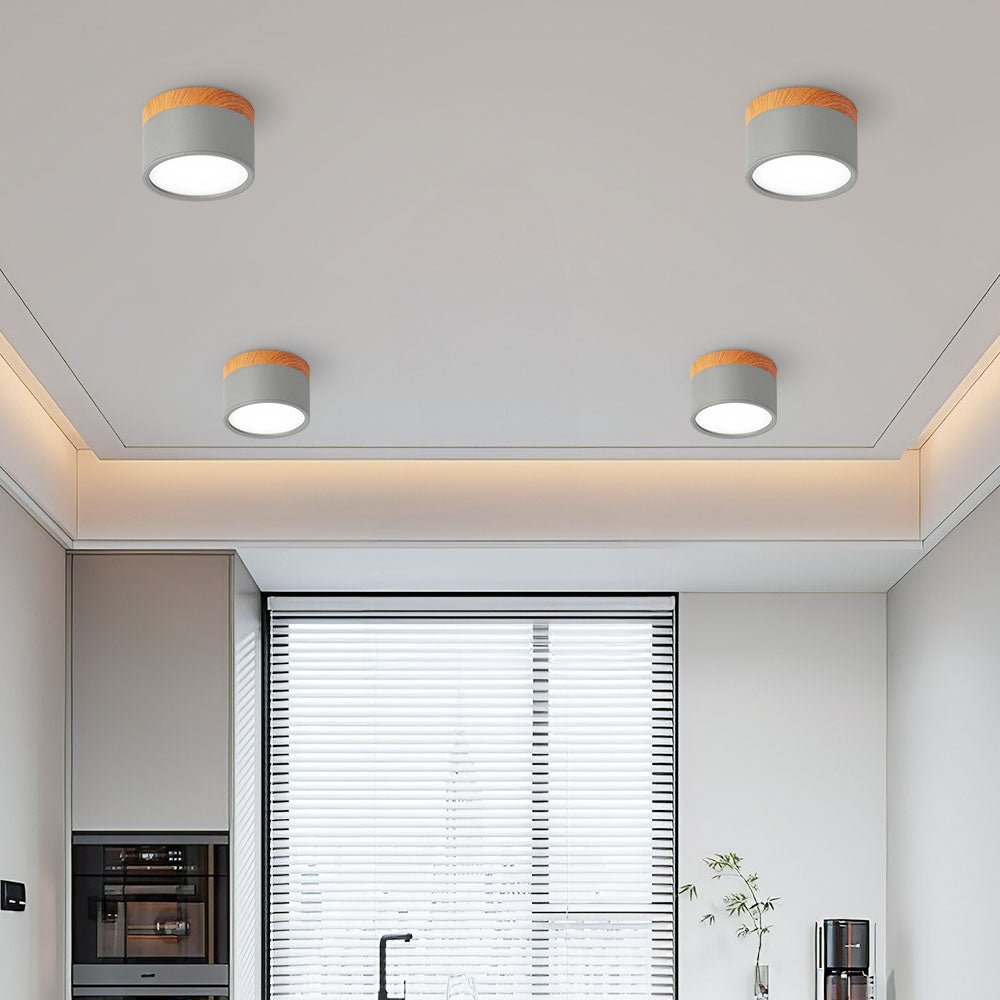 "Plafoniera cilindrica LED moderna per interni, struttura in alluminio, finitura elegante, luce uniforme, disponibile in vari
