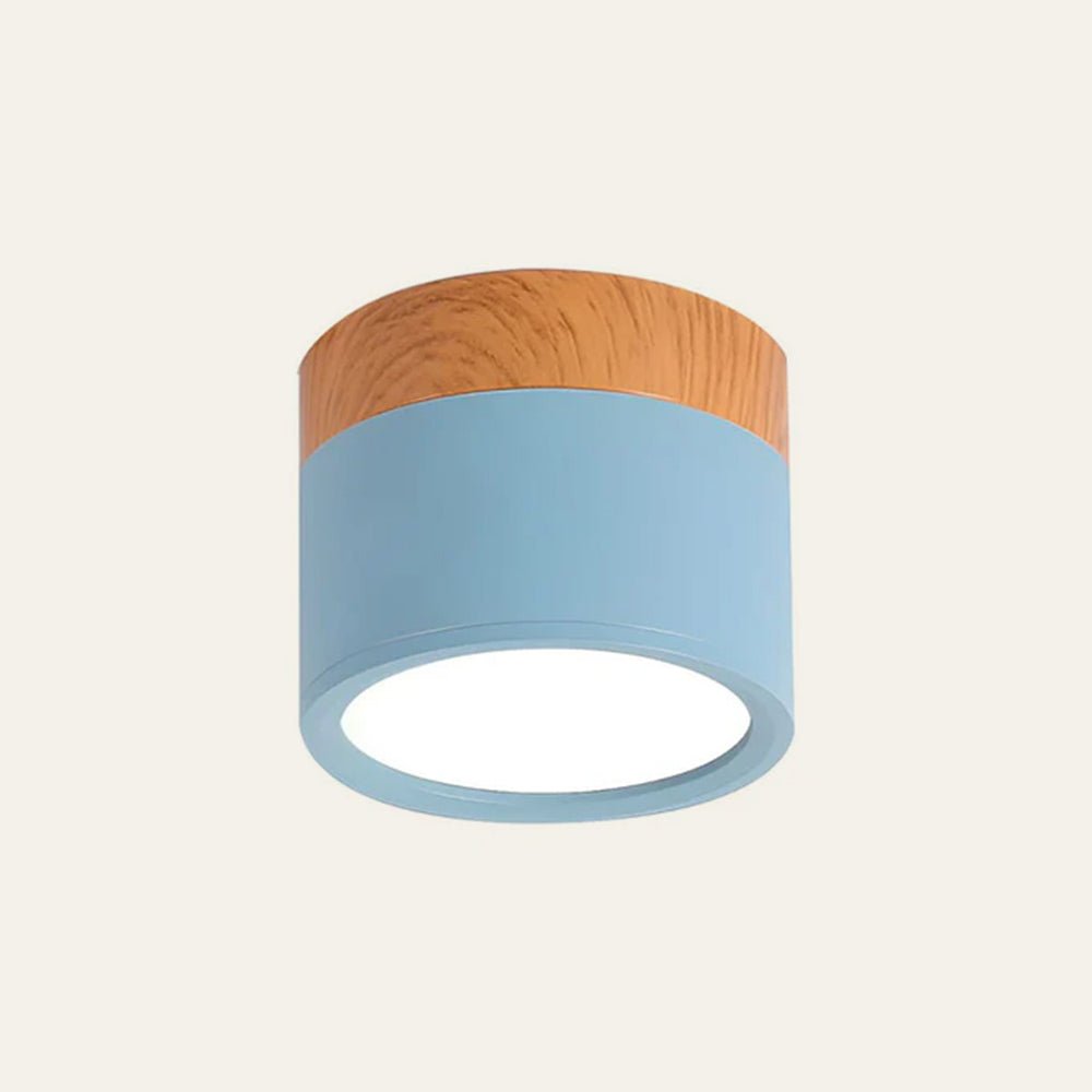 "Plafoniera cilindrica LED moderna per interni, struttura in alluminio, finitura elegante, luce uniforme, disponibile in vari