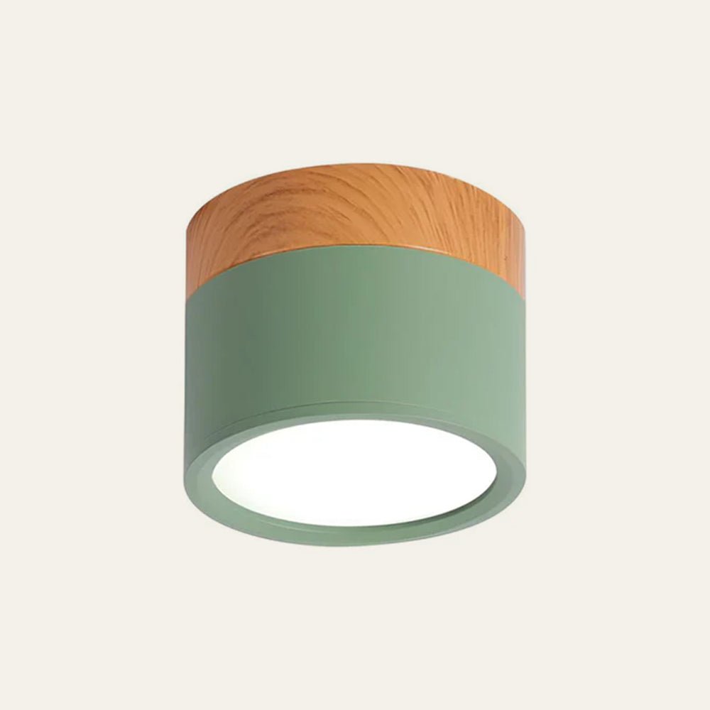 "Plafoniera cilindrica LED moderna per interni, struttura in alluminio, finitura elegante, luce uniforme, disponibile in vari