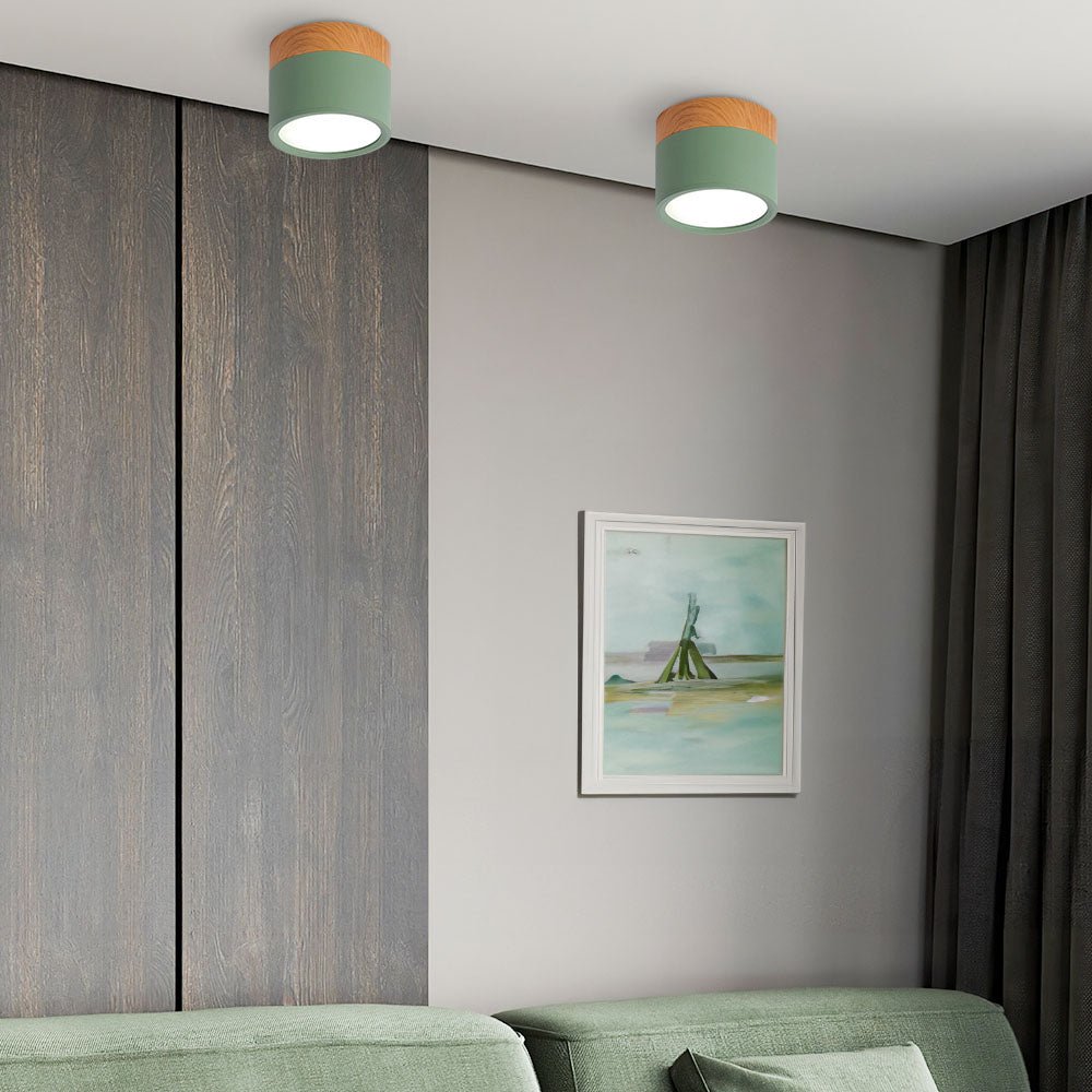 "Plafoniera cilindrica LED moderna per interni, struttura in alluminio, finitura elegante, luce uniforme, disponibile in vari