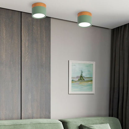"Plafoniera cilindrica LED moderna per interni, struttura in alluminio, finitura elegante, luce uniforme, disponibile in vari