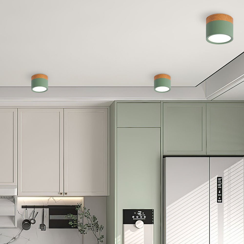 "Plafoniera cilindrica LED moderna per interni, struttura in alluminio, finitura elegante, luce uniforme, disponibile in vari