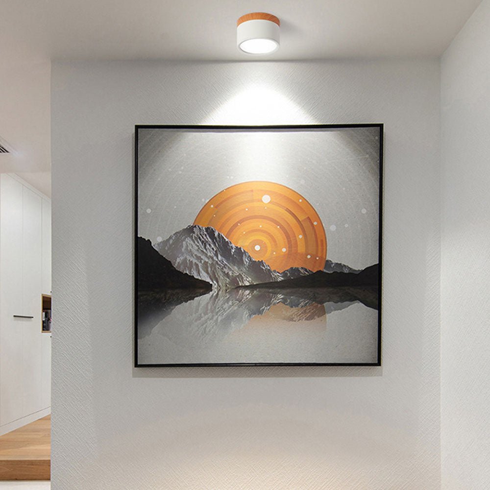 "Plafoniera cilindrica LED moderna per interni, struttura in alluminio, finitura elegante, luce uniforme, disponibile in vari
