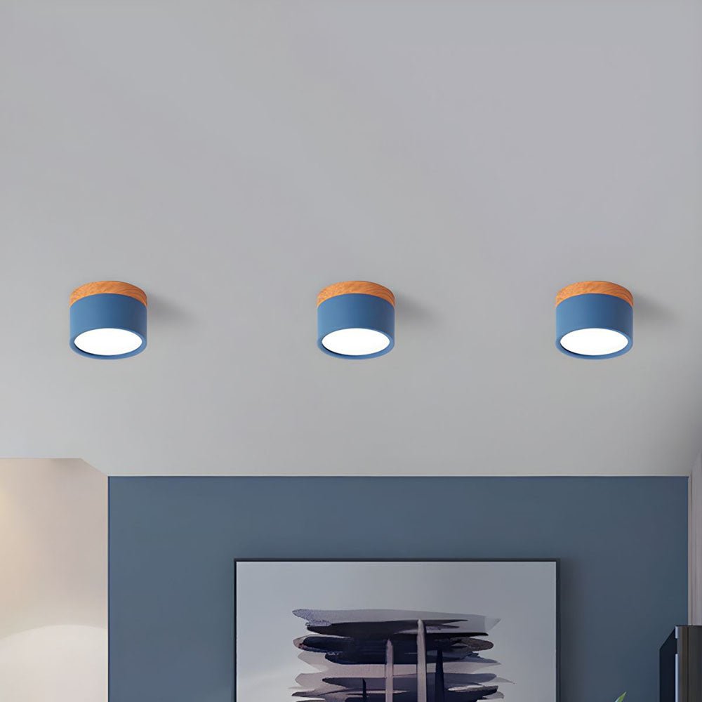 "Plafoniera cilindrica LED moderna per interni, struttura in alluminio, finitura elegante, luce uniforme, disponibile in vari