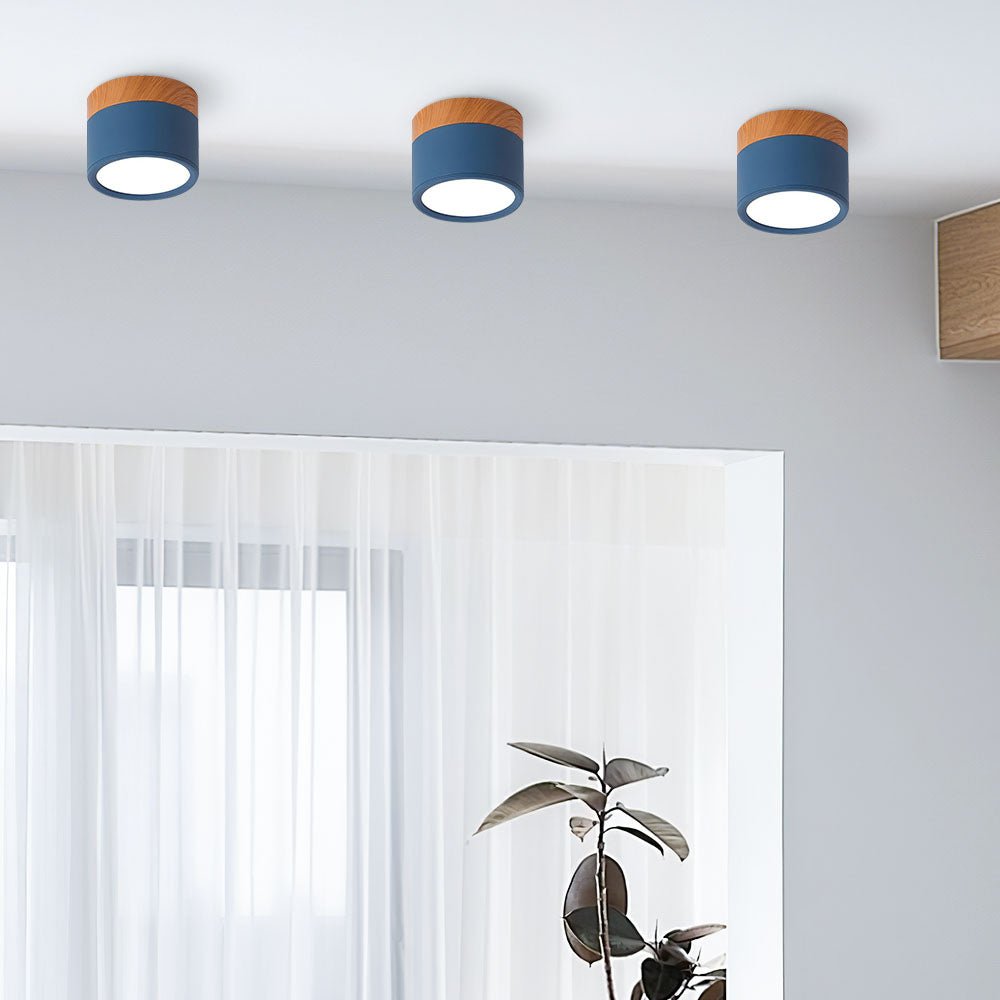 "Plafoniera cilindrica LED moderna per interni, struttura in alluminio, finitura elegante, luce uniforme, disponibile in vari