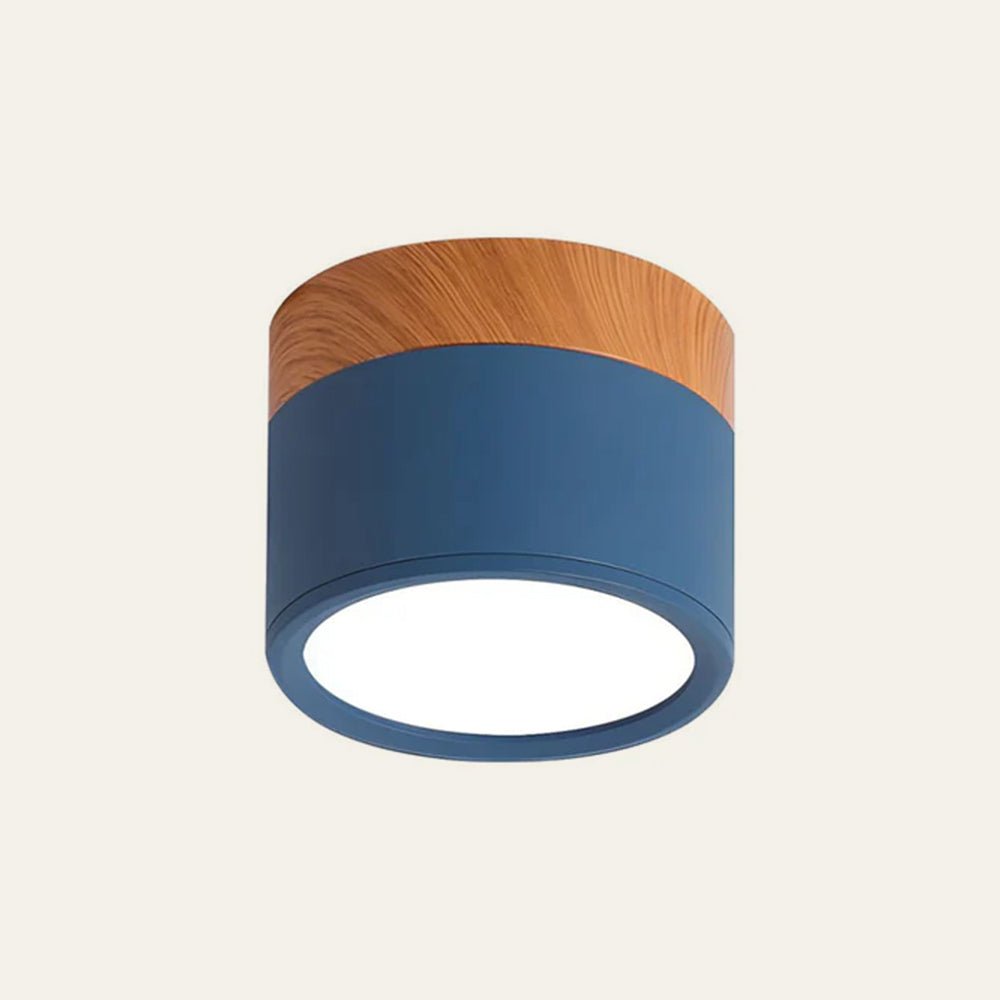 "Plafoniera cilindrica LED moderna per interni, struttura in alluminio, finitura elegante, luce uniforme, disponibile in vari