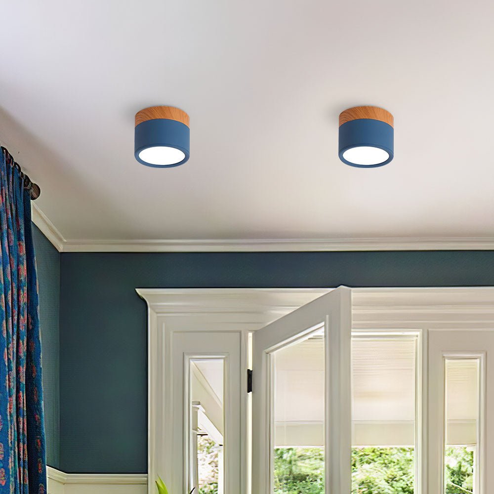 "Plafoniera cilindrica LED moderna per interni, struttura in alluminio, finitura elegante, luce uniforme, disponibile in vari