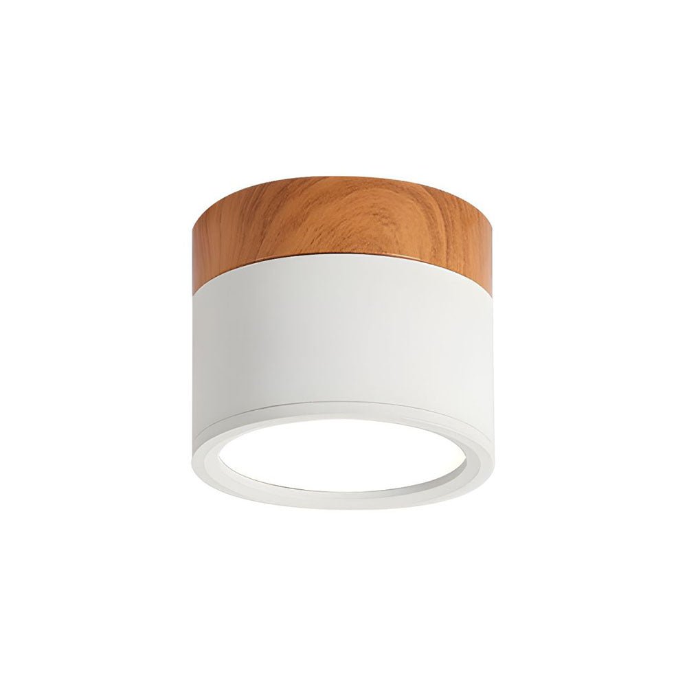 "Plafoniera cilindrica LED moderna per interni, struttura in alluminio, finitura elegante, luce uniforme, disponibile in vari