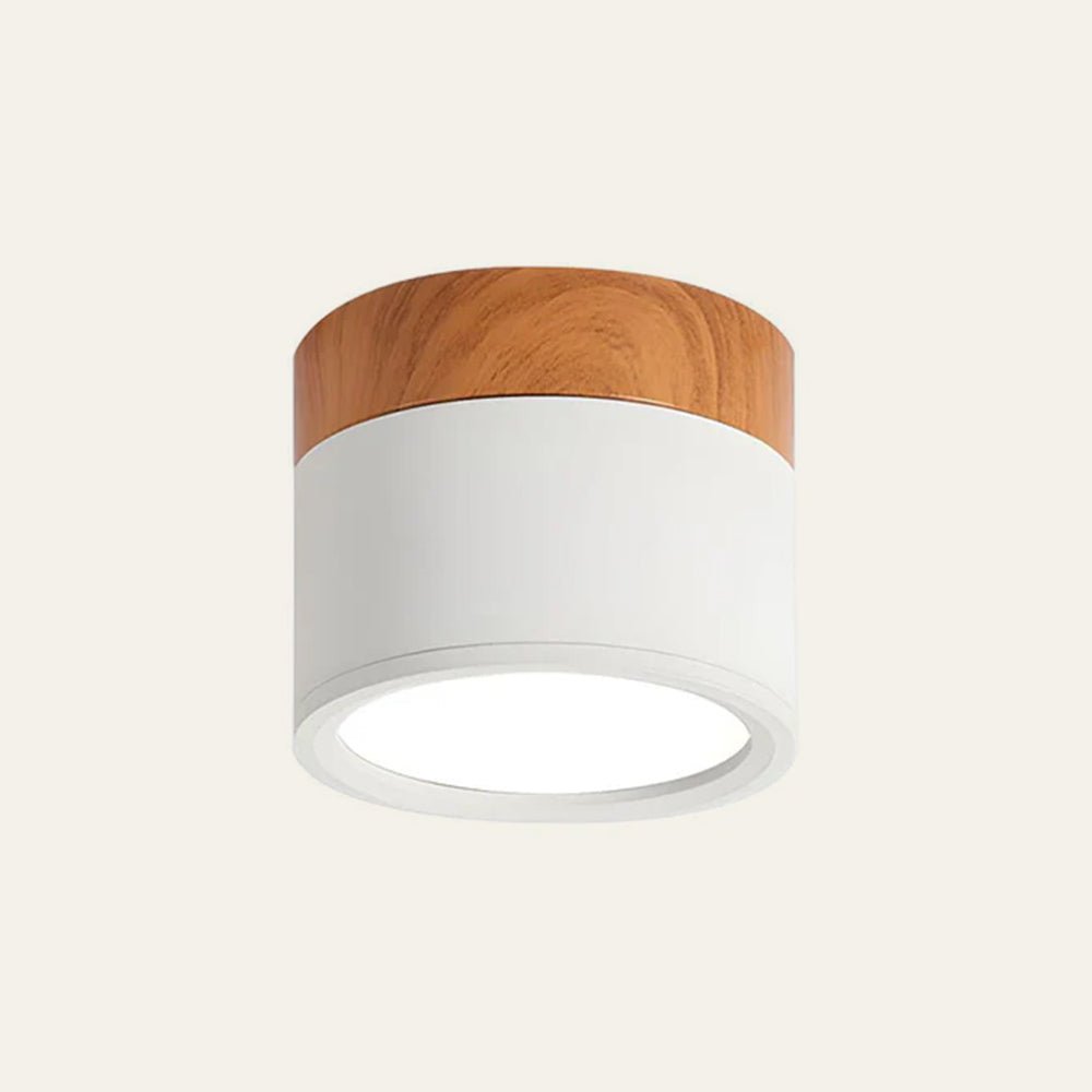 "Plafoniera cilindrica LED moderna per interni, struttura in alluminio, finitura elegante, luce uniforme, disponibile in vari