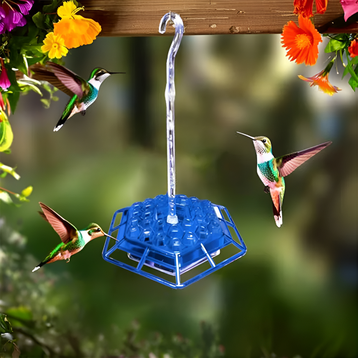 Clear polycarbonate hummingbird feeder featuring an integrated ant moat & bee deterrent for clean nectar & happy birds.