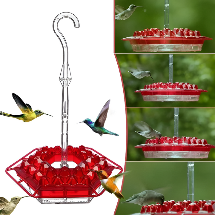 Attractive hummingbird feeder with ant & bee protection, providing a safe, clean nectar source for wild garden birds.