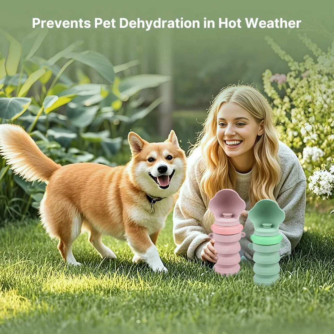 Collapsible travel pet water bottle, easy to carry for dog hydration on the go