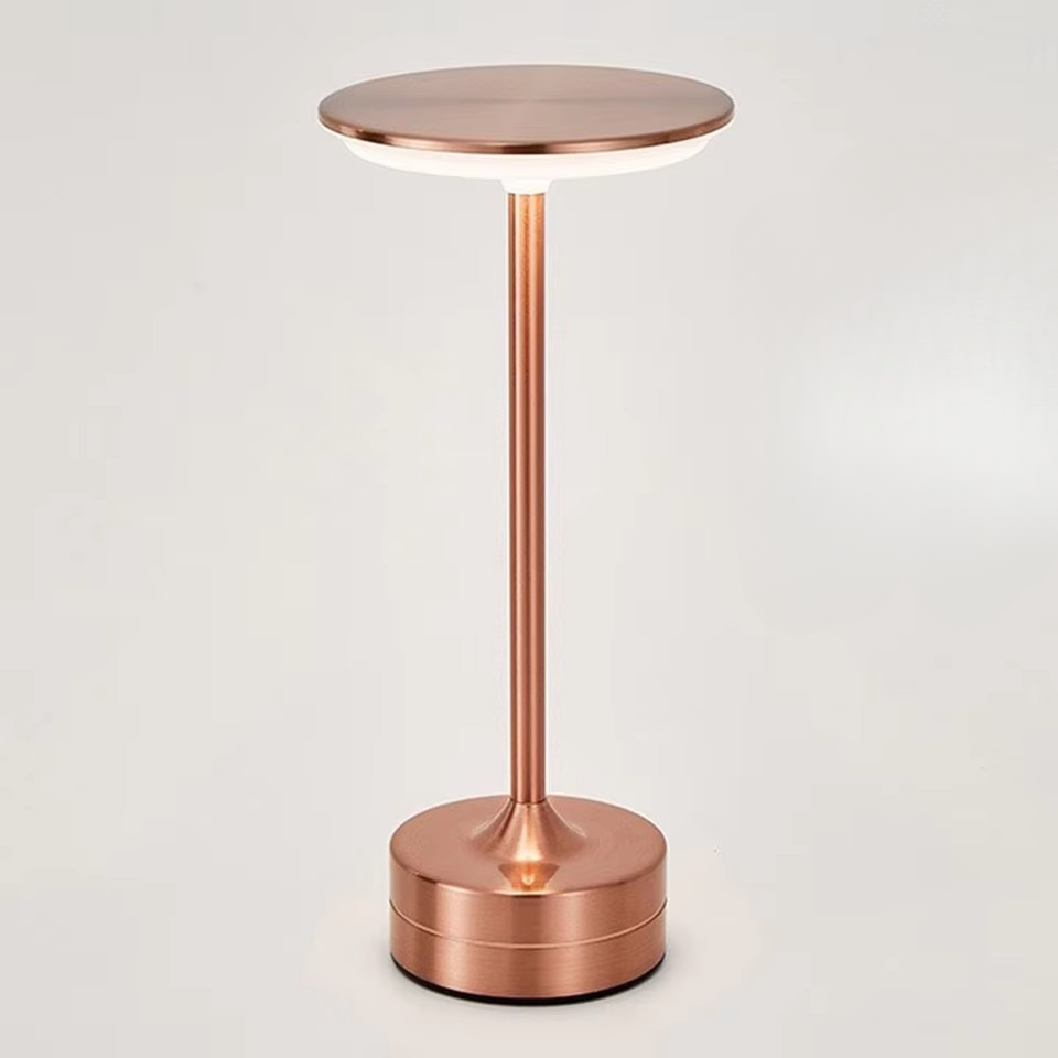 Rechargeable LED bedside lamp with touch dimming, modern home decor.