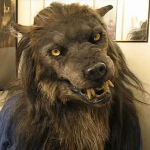 Realistic unisex werewolf mask for Halloween parties, featuring intricate fur details and sharp fangs.