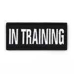 In Training  - Harness Patch
