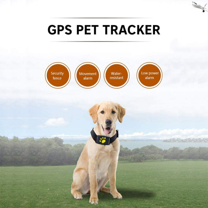 Pet safety GPS collar with geo-fence function. Get instant alerts if your cat or dog leaves a safe zone.