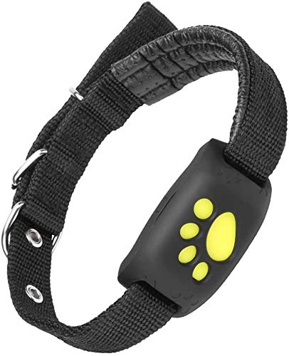 Rechargeable GPS pet collar for cats & dogs. Reliable real-time location tracker with long-lasting battery for pet safety.