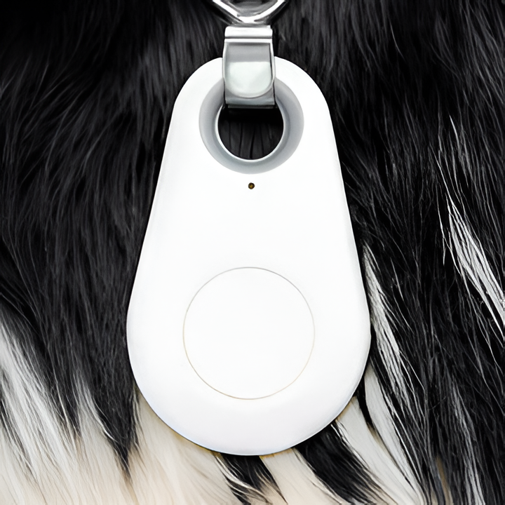 Waterproof Bluetooth GPS tracker attached to a dog's collar for real-time pet safety and anti-lost tracking.