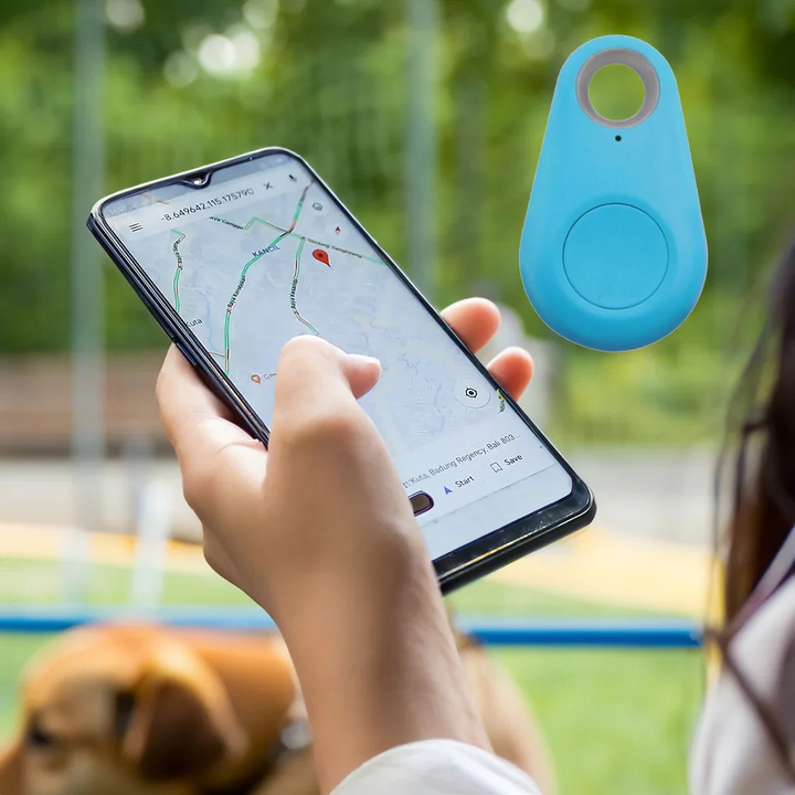 Pet safety: Smart GPS tracker on a dog's collar, offering waterproof and real-time tracking for peace of mind.