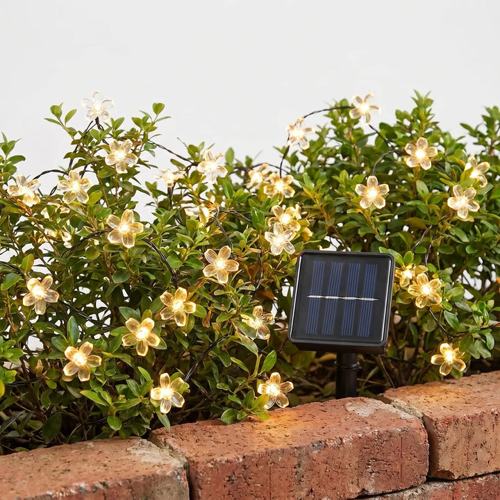 Charming solar-powered LED flower string lights, adding delightful illumination to any outdoor space.