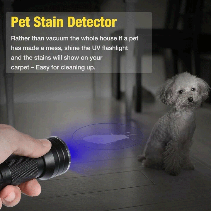 Portable 395nm UV LED blacklight flashlight, ideal for forensic and counterfeit detection