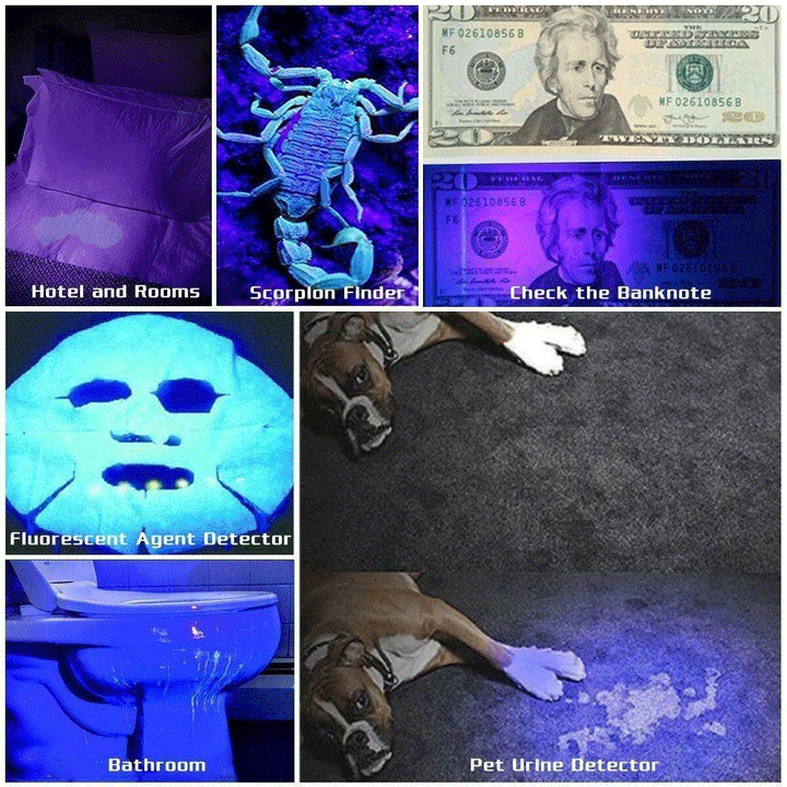 Compact 395nm UV blacklight LED flashlight, perfect for scorpion hunting and outdoor use