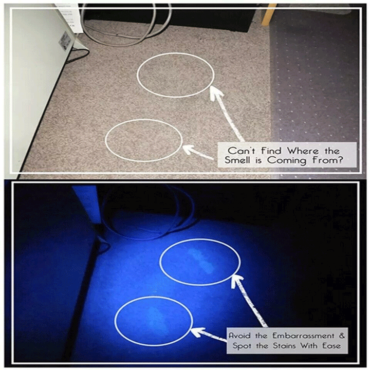 Super bright 395nm UV blacklight LED portable light, essential for hotels and pest control