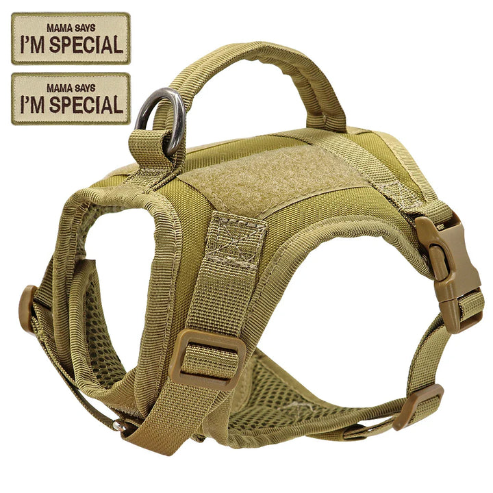 Adventure gear cat harness, tactical style nylon vest for outdoor cats or small dogs, padded.