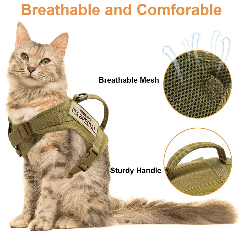 Adjustable tactical cat harness, black nylon, designed for outdoor cat adventures and security.