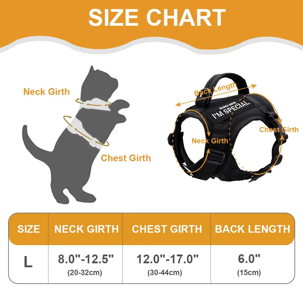 Military-style pet gear: black tactical cat harness vest with durable buckles for adventure.