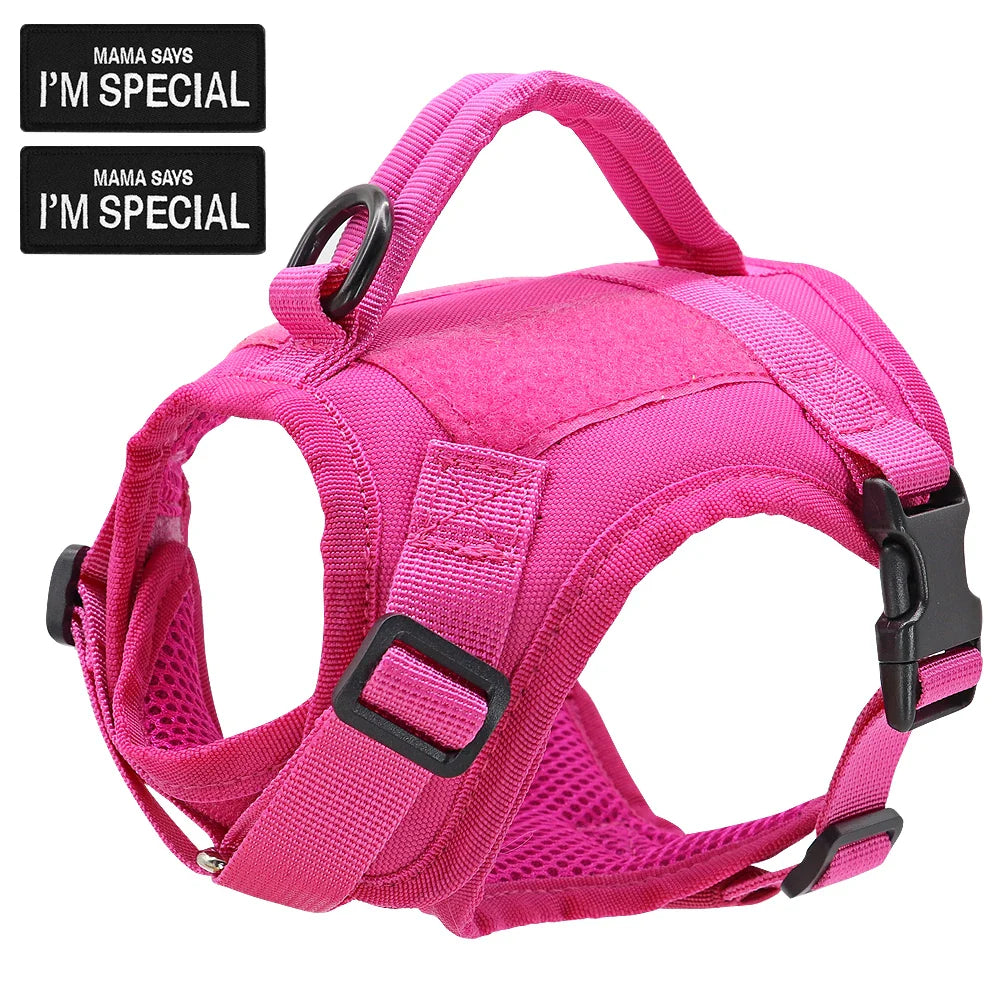 Black nylon tactical cat harness, adjustable and padded, perfect for pet adventure and walks.