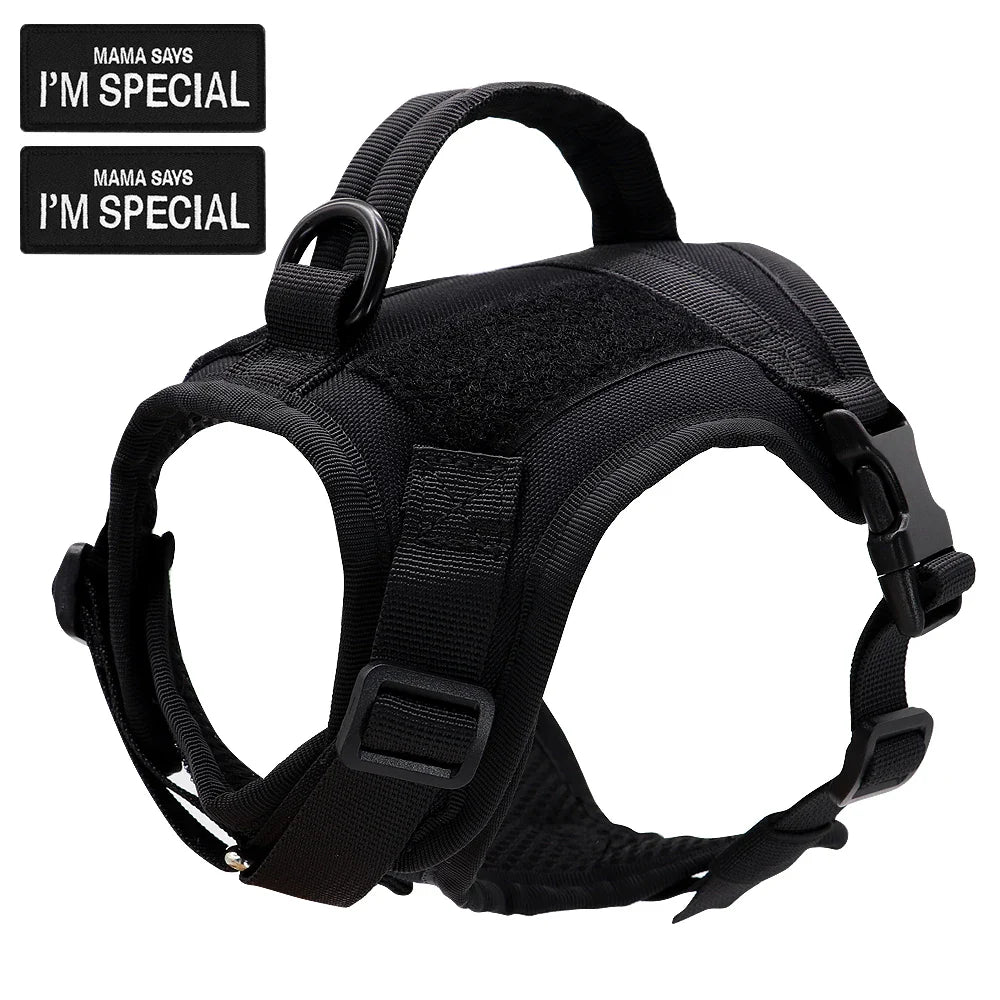 Outdoor cat harness vest, tactical design with strong stitching, ideal for safe pet adventures.