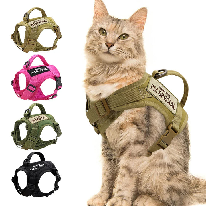 Tactical cat harness vest with D-ring leash clip, black durable nylon for pet walking