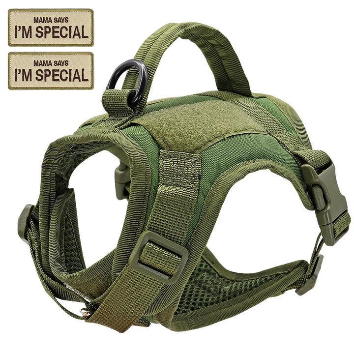 Comfortable nylon tactical cat harness vest, adjustable straps, D-ring for leash attachment