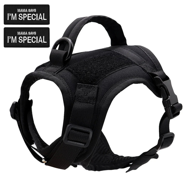 Tactical cat harness vest, side view showing strong nylon construction and D-ring